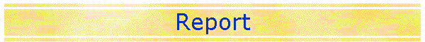 Report