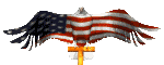 These Colors Don't Run! As you know, America was attacked. My heart goes out to the victims. While I am an American, I am also a World Citizen just like you. As the saying goes, "Why can't we all just get along?" This world is the only one we have, so be good to each other, for all our sakes.