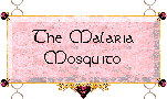 The Malaria Mosquito
