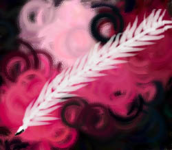 this is the quill