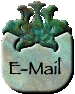 Email Me