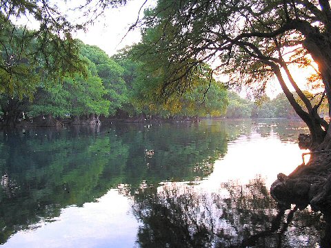Una bella postal del lago