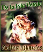De la Isla Verde Setter Irlandés