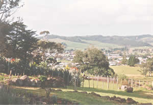 [Kaikohe South]