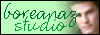 Boreanaz Studio