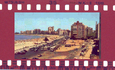 
Playa Pocitos en 1966, Montevideo