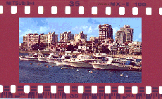 
Puerto de yates de Punta del Este