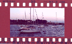 
Puerto del Buceo y Museo Oceanogrfico al fondo