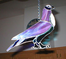 Pigeon