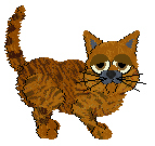 Pubo