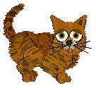 Pufta