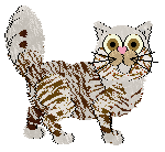 Horatio