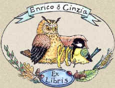 ExBuEnriCincia.jpg (31535 bytes)