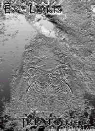 ExBuGrisNico.jpg (32393 bytes)