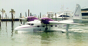 a cool purple plane