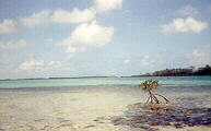 across the water