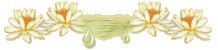Divider