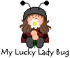 lbugbr.gif (2327 bytes)