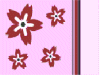 Pink Flowers