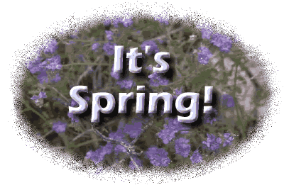 It's Spring!