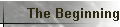The Beginning