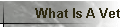 What Is A Vet