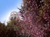 coit04