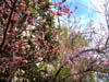 coit05