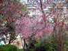 coit08