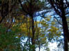 coit14