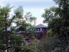 coit15