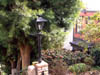 coit18