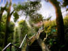 coit22