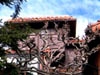 coit23