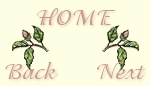 back/home/next graphic