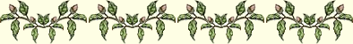 bar garphic 2