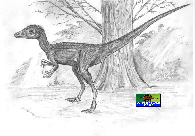 Huaxiagnathus orientalis  by Beri