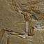 [Compsognathus]