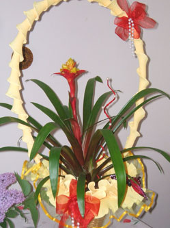bromelia