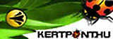 kertpont 