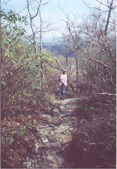 NEAR THE SUMMIT