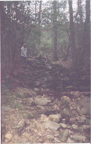 UPSTREAM