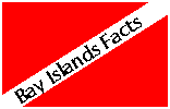 Bay Island History & Facts