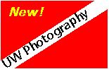 UW Photography