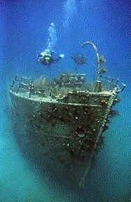 Prince Albert - "Our front yard is a wreck!"