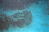 dive_02.jpg