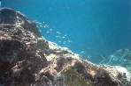 StLucia10.jpg