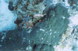 TCI0204_01.jpg