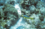 TCI0204_08.jpg