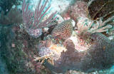 TCI0204_10.jpg